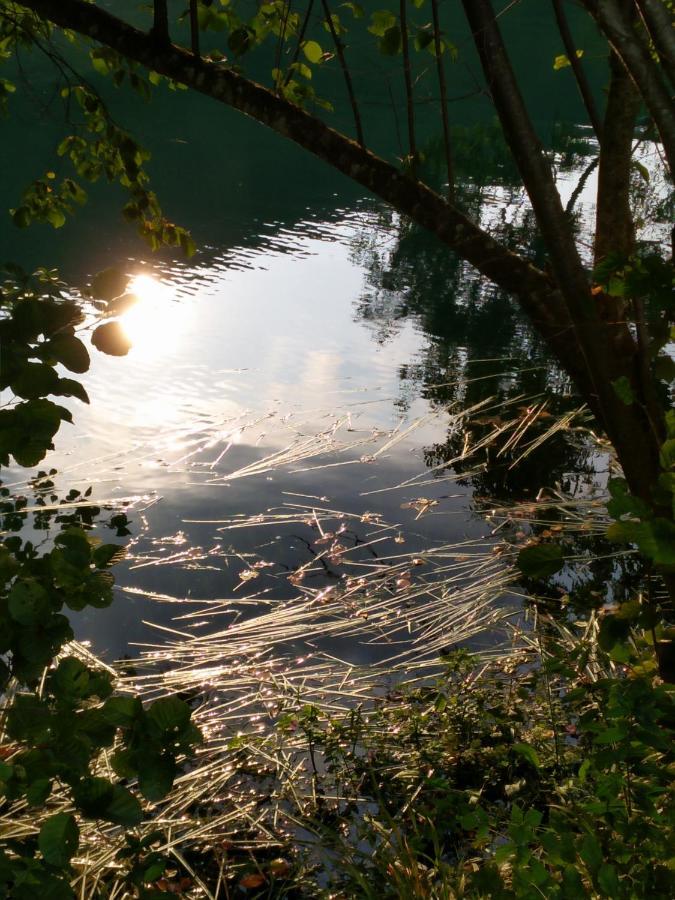 Seosko Domacinstvo Halil & Alema Daire Cukovi Dış mekan fotoğraf