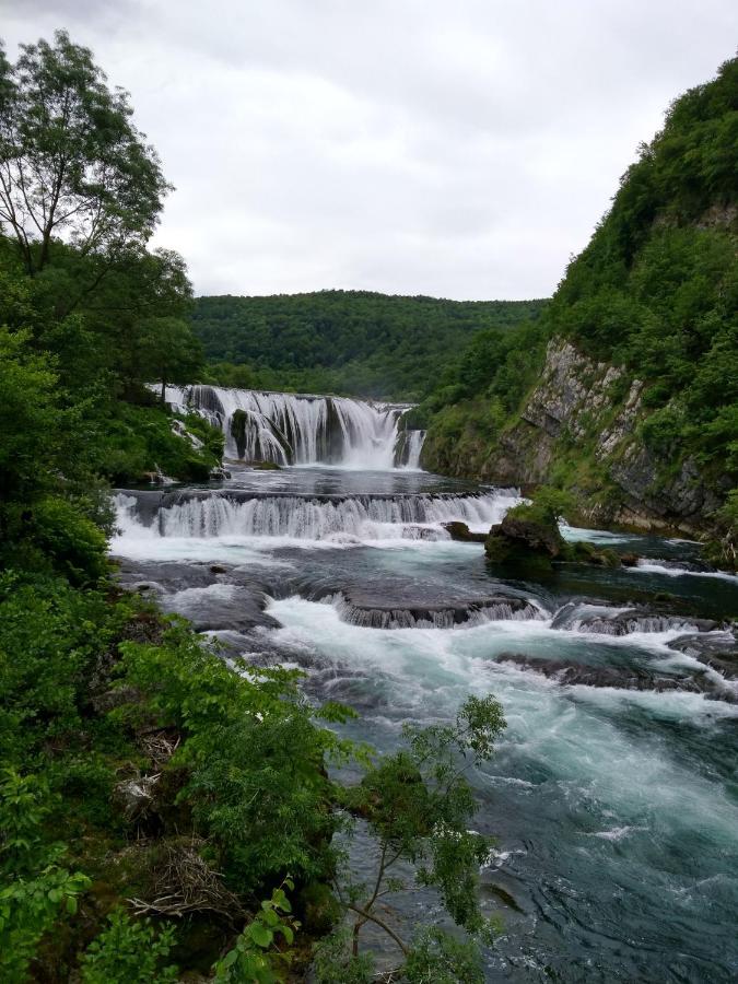 Seosko Domacinstvo Halil & Alema Daire Cukovi Dış mekan fotoğraf